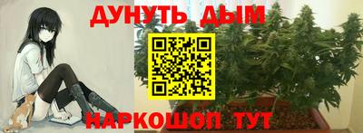 дживик Обь