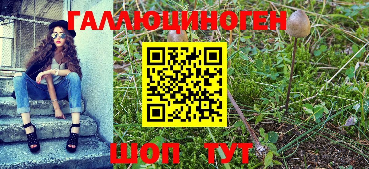 Галлюциногенные грибы Magic Shrooms Тобольск